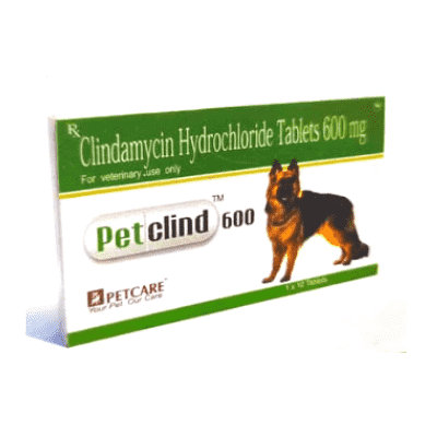 PetClind 600mg Clindamycin tablet 600mg from PetCare for Dogs and Cats