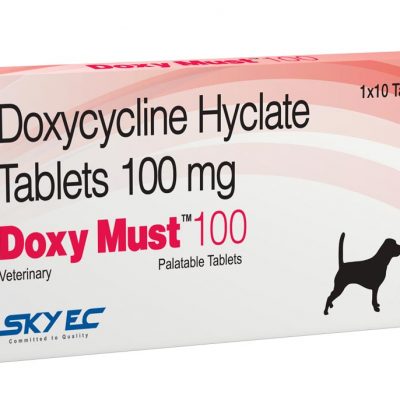 DOXY MUST 100MG TAB