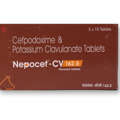 Nepocef CV 162.5mg Tablet 10’s *1 Cefpodoxim Clavulanic Acid 162.5mg Tablet by TTK Animal Health Care