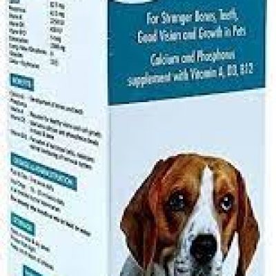 SKYCAL PET 200 ML calcium Tonic for Pets. Calcium and mineral supplement for dogs, cats, Puppies and Kittens by SKYEC PHARMA