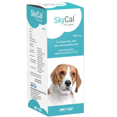 SKYCAL PET 500 ML