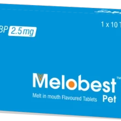 Melobest Pet 2.5mg Meloxicam 2.5mg Tablet 10’s*1 strip  by TTK Animal Health Care
